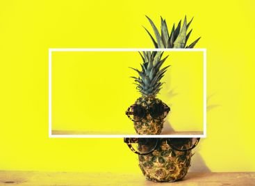 estilo tropical