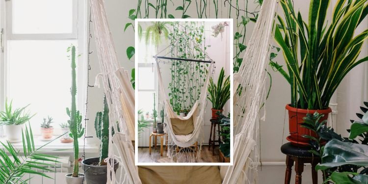 Estilo Urban Jungle
