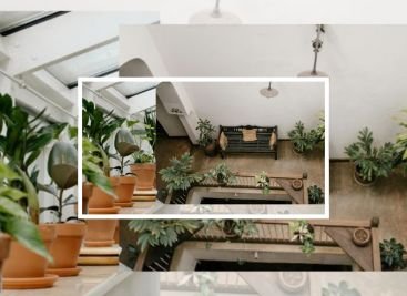 decoração com plantas