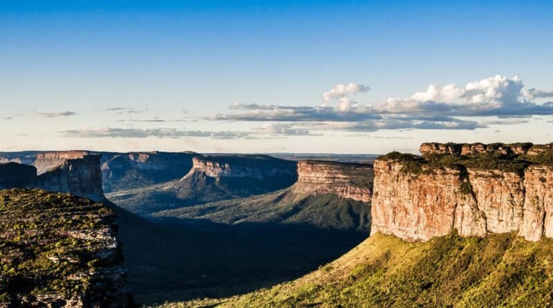 Dia de Conservação Da Natureza: Por Que Cresceu a Procura Por Unidade De Conservação?