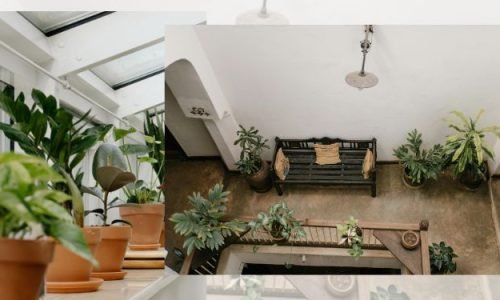 decoração com plantas